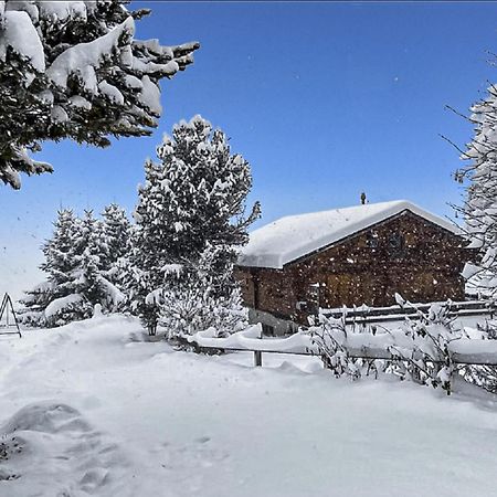 Chalet Albarose - Vercorin Exteriör bild